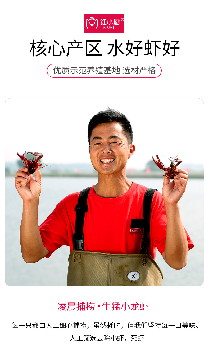 盒马鲜生供应商 红小厨 麻辣小龙虾 净虾2斤 图5