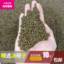 Raw Cassia Seed Filled Pillow Core Children's Cassia Seed Toy Sand Bulk Pure Wild Factory ຂາຍໂດຍກົງ ສົ່ງຟຣີ