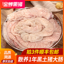 Jinchan T7 pig large intestine 1 kg Dabie mountain farm free-range black pork fresh frozen leave-in-wash pig fat sausage