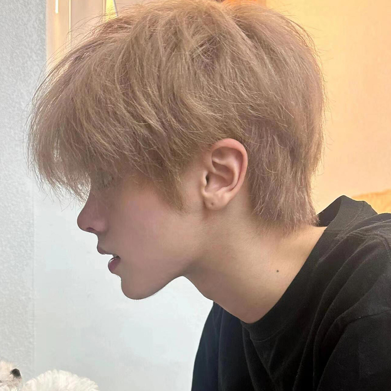 Wig for Men with Short Hair, Summer Beige-Gold Color, Stylish, Natural, Youthful, Fashionable Short Straight Hair, Realistic and Fluffy Full Wig