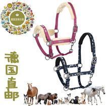 German direct mail limited edition horse cage head training horse dragon head pure cowhide horse cage head reins equestrian equestrian harness