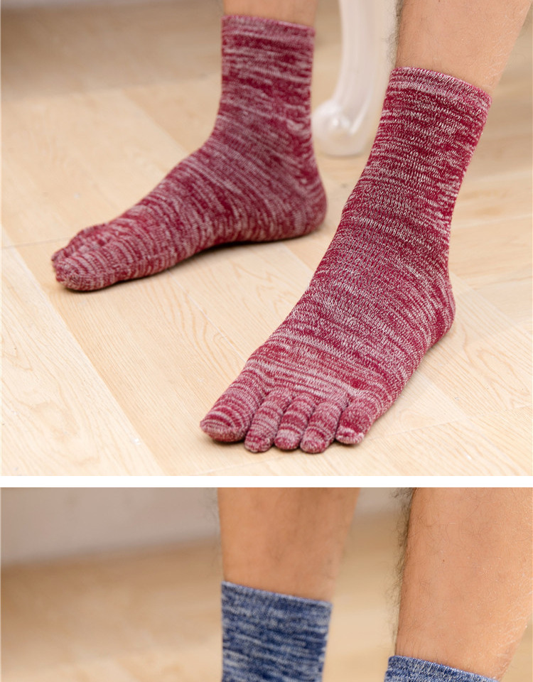 Blue Zixin mùa thu và mùa đông dày năm ngón tất nam Zhongtong tinh khiết cotton terry dày nam vớ vớ vớ cotton vớ chân