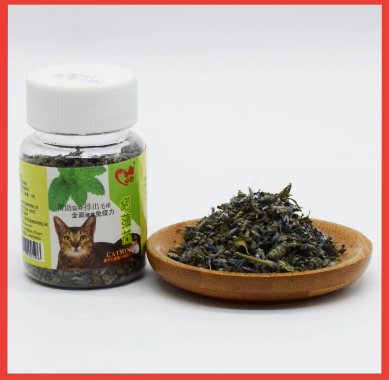 Tự nhiên catnip mèo ăn nhẹ mèo cỏ để bóng tóc bài tiết tóc bóng điều hòa dạ dày tăng cường miễn dịch 12g - Cat / Dog Medical Supplies