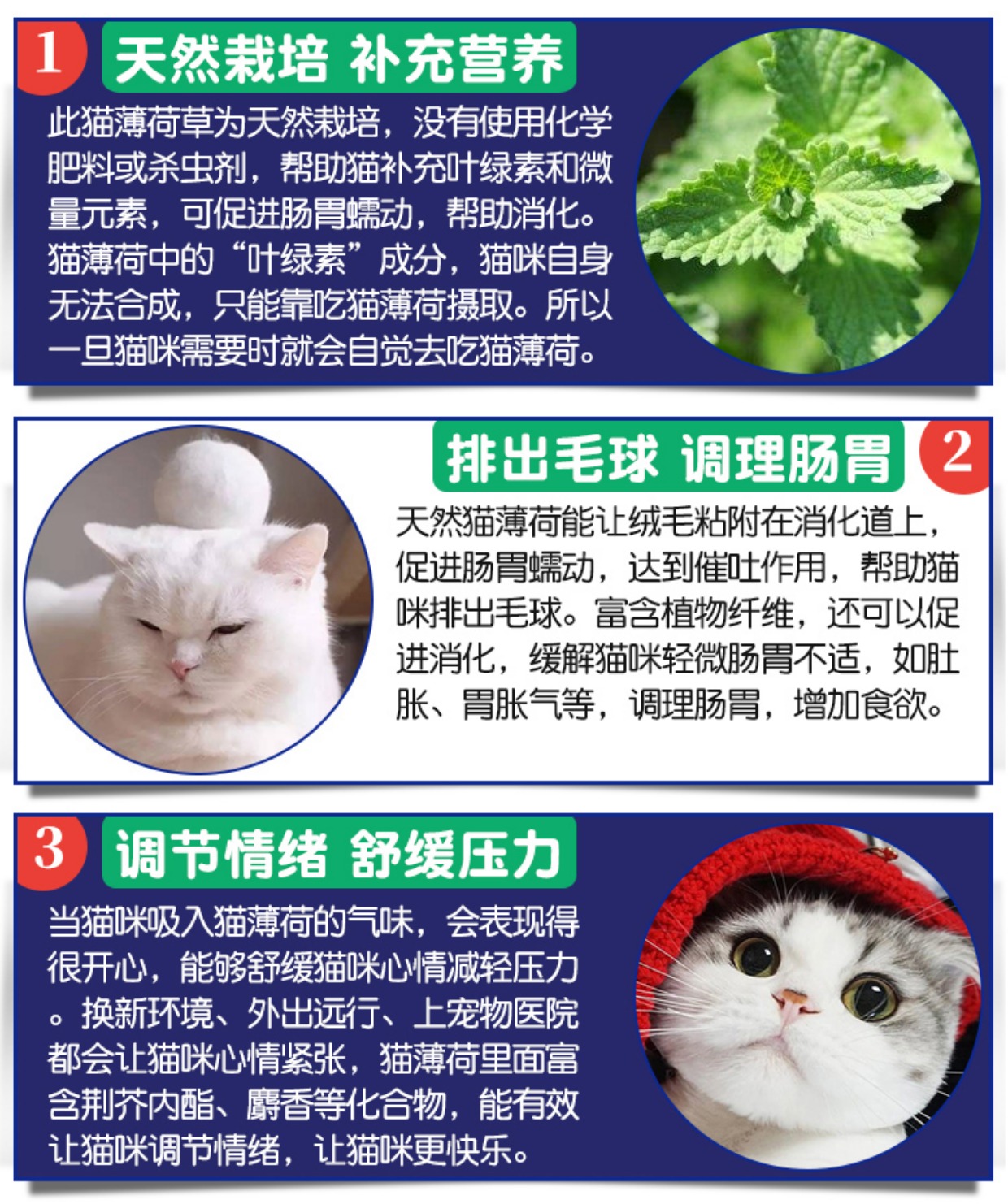 Tự nhiên catnip mèo ăn nhẹ mèo cỏ để bóng tóc bài tiết tóc bóng điều hòa dạ dày tăng cường miễn dịch 12g - Cat / Dog Medical Supplies thiết bị y tế thú y