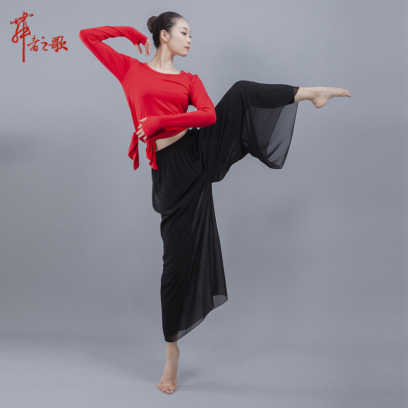 Modern Dance Mesh Yarn High Waist Pants Dance Practice Pants Snow Spinning Fake Two Pieces Yoga Broadlegged Pants Skirt Long Pants