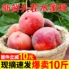 Товары от 二帅旗舰店