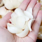 Fresh Lanzhou Lily New Couging Gansu Lily 4 фунта чистого съедобного сырого сладкого белого и необработанного товара специальные продукты