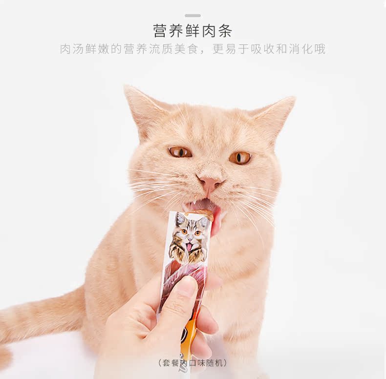 Mèo Snacks Spree Mèo Thức ăn ướt Mèo Bạc hà vào Mèo Mèo Molars Cá Bánh quy Staples Mèo đóng hộp - Đồ ăn nhẹ cho mèo thịt hộp spam