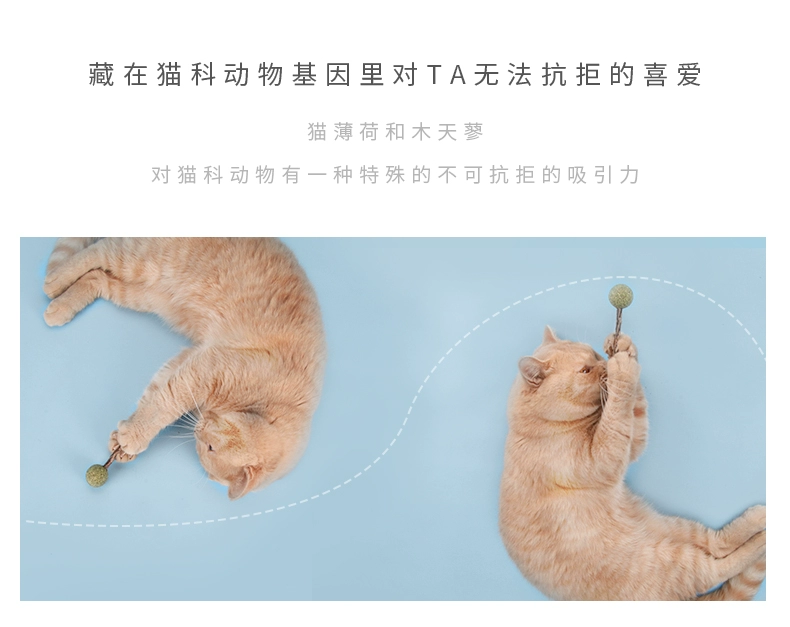 Yahe catnip kẹo mướp cung cấp bóng cather bóng Tian Li trà mèo mèo đồ chơi mèo tinh thần đồ chơi - Mèo / Chó Đồ chơi