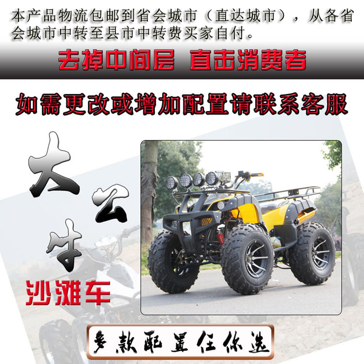 Big Bull ATV bốn bánh off-road xăng ATV đôi người lớn xe máy núi 250cc làm mát bằng nước