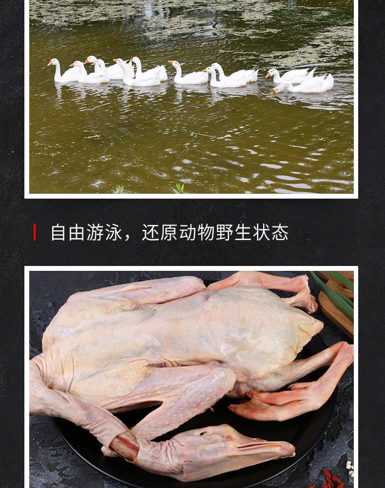 农家散养大鹅 净重7斤 现买现杀 保留内脏 图7
