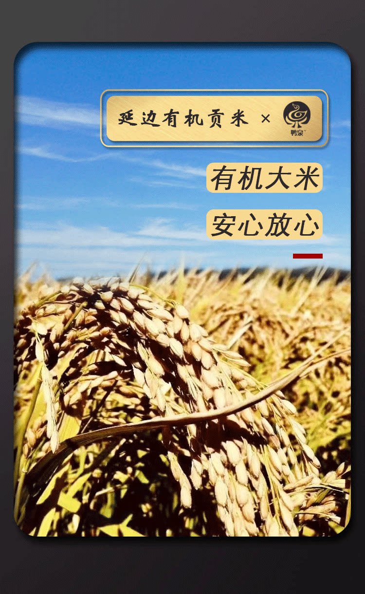 安享好物 安享C级粳米-鸭泉有机贡米 国标