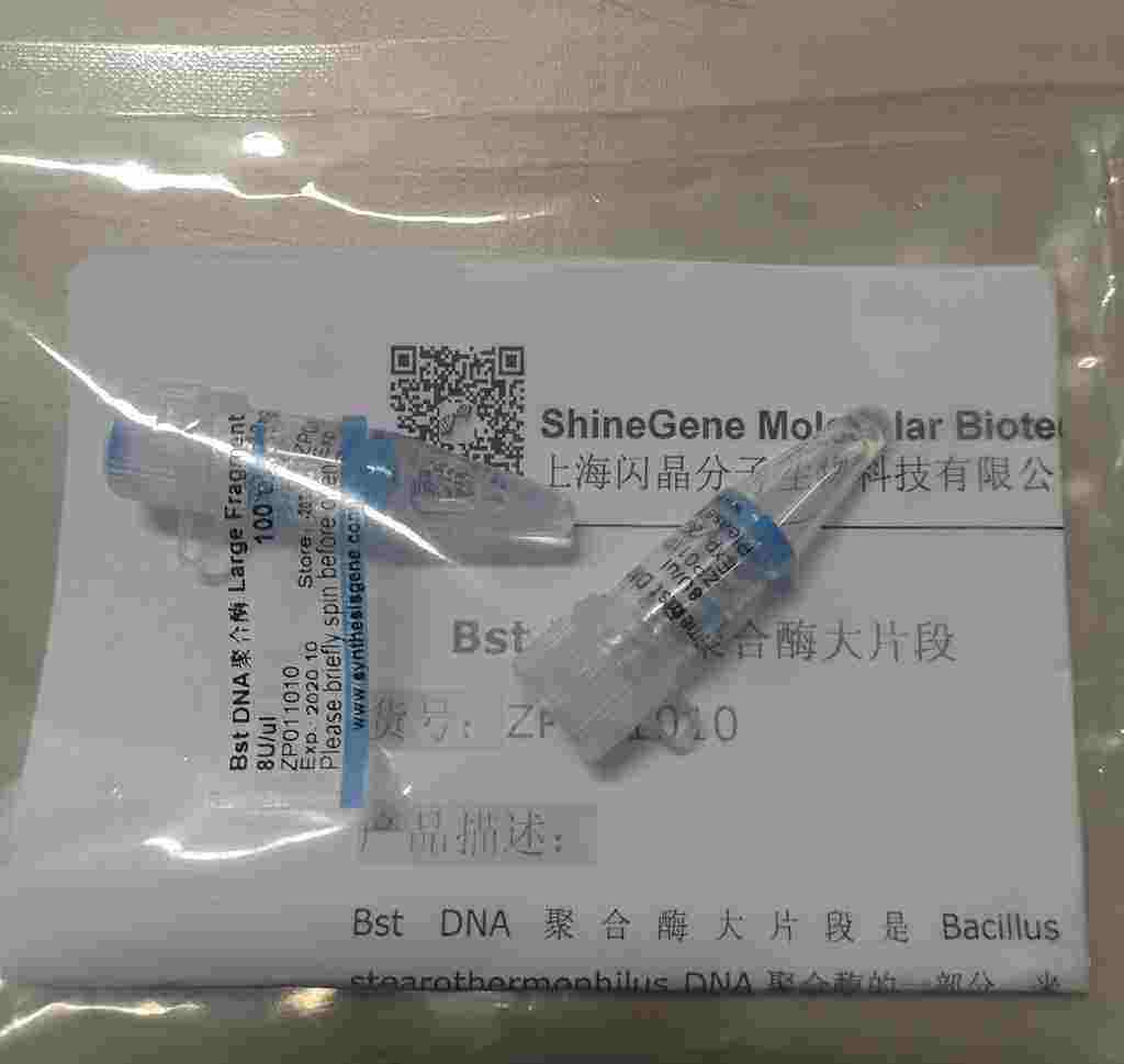 Bst DNA聚合酶(大片段)-LAMP扩增酶-等温扩增酶 Bst酶 100ul