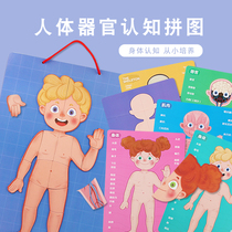 Magnetic jigsaw puzzle children Puzzle Toy Elementary Students 3-6 Multi-functional boy Girls Zhi Li develop early teaching cognition