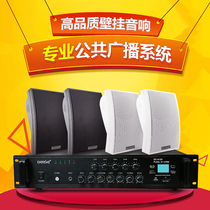 Wall-mounted speaker Wall-mounted speaker Audio ceiling shop restaurant Conference room set public address system