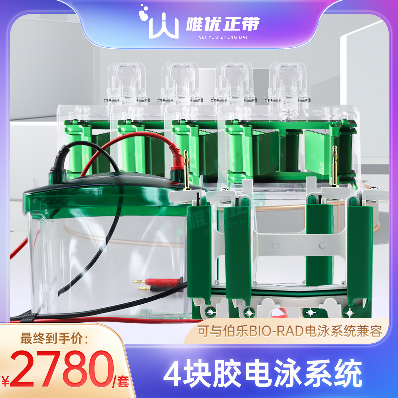 伯乐电泳槽上盖下槽制胶器夹胶框梳子玻璃板密封条导线国产实验室