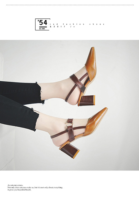 Xuân 2019 mới dày với sandal nữ mũi nhọn retro cao gót lớn Đông nữ hoang dã Baotou sandal nữ đế cao