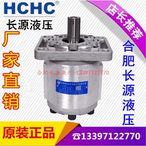 Hefei Long Source Gear Pump CBN-F540 CBN-F540 F50 F63 563 F63 F550-BFP BFPL BFH BFHL