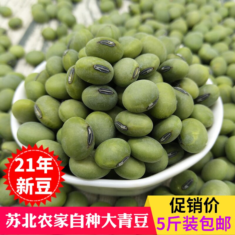 Big green beans Farmers grow their own old varieties of big green beans raw dried green beans green kernels green core double green beans bulk 5 pounds