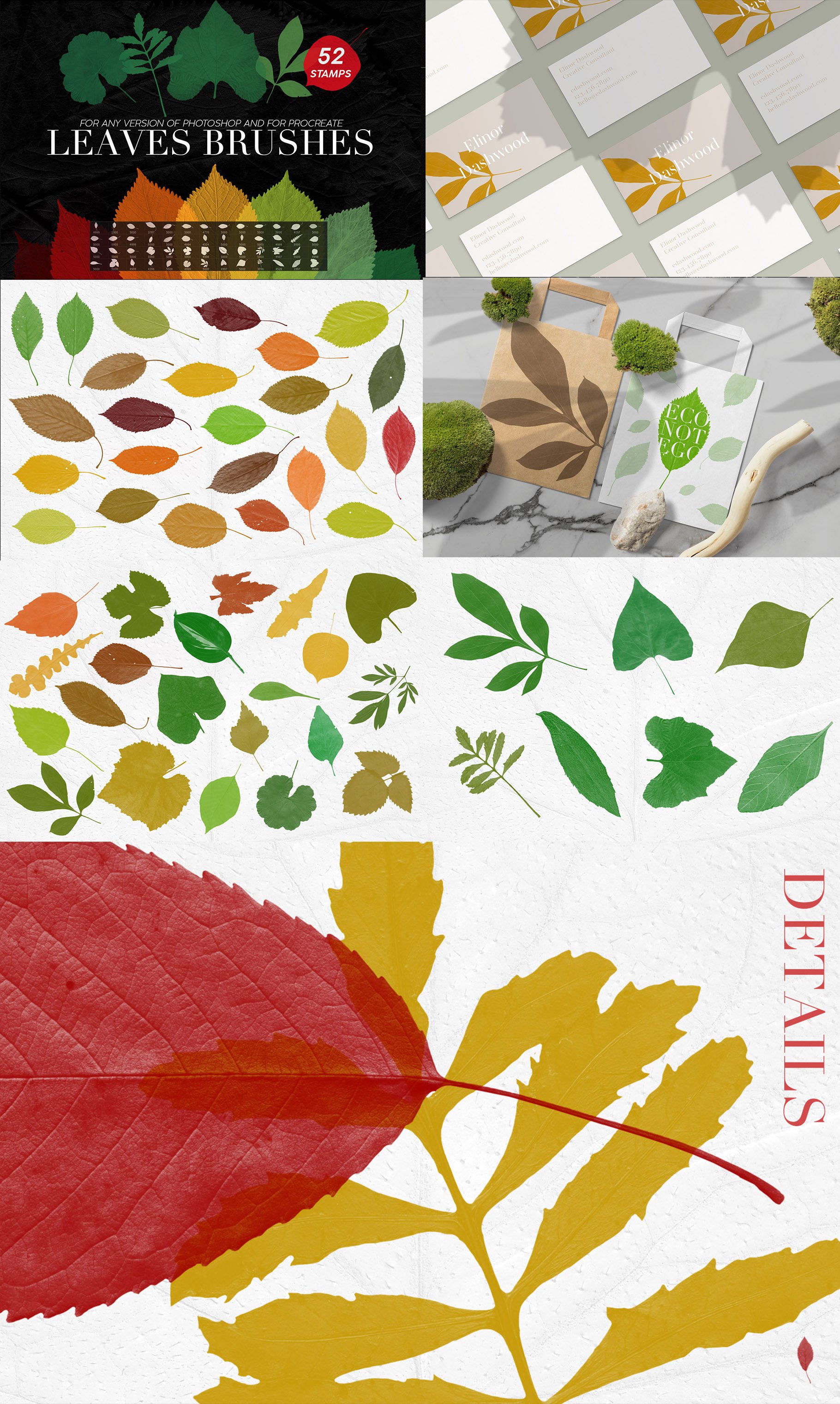 52-leaves-brushes C4DSKY.COM.jpg
