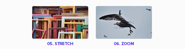 fig3.gif