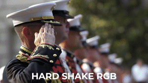 Hard_Shake_RGB.gif