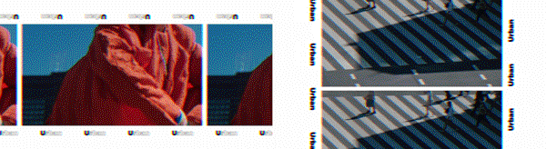 10016.gif