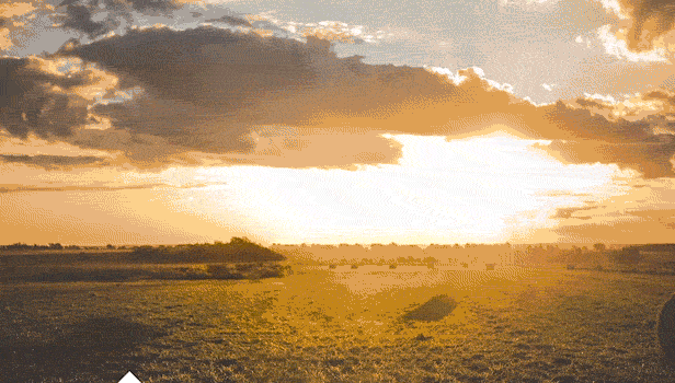 Horizon.gif