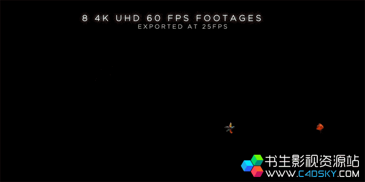 04_preview4.gif
