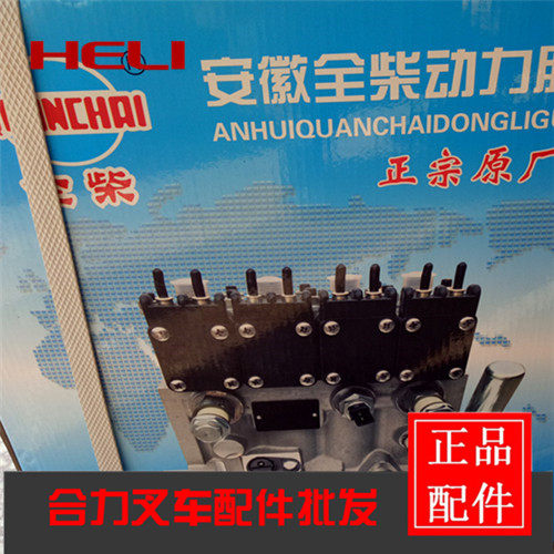 NJ-VE4 NJ-VE4 11E1250R140 pile high machine All Chai State tri-injection oil pump 2409002110137 diesel oil pump assembly