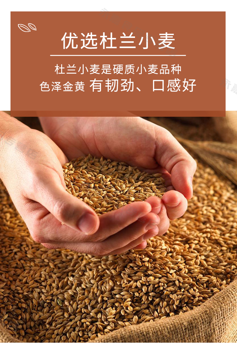 希腊原装进口 麦丽莎 杜兰全麦 通心粉意大利面 500g*3袋 图3