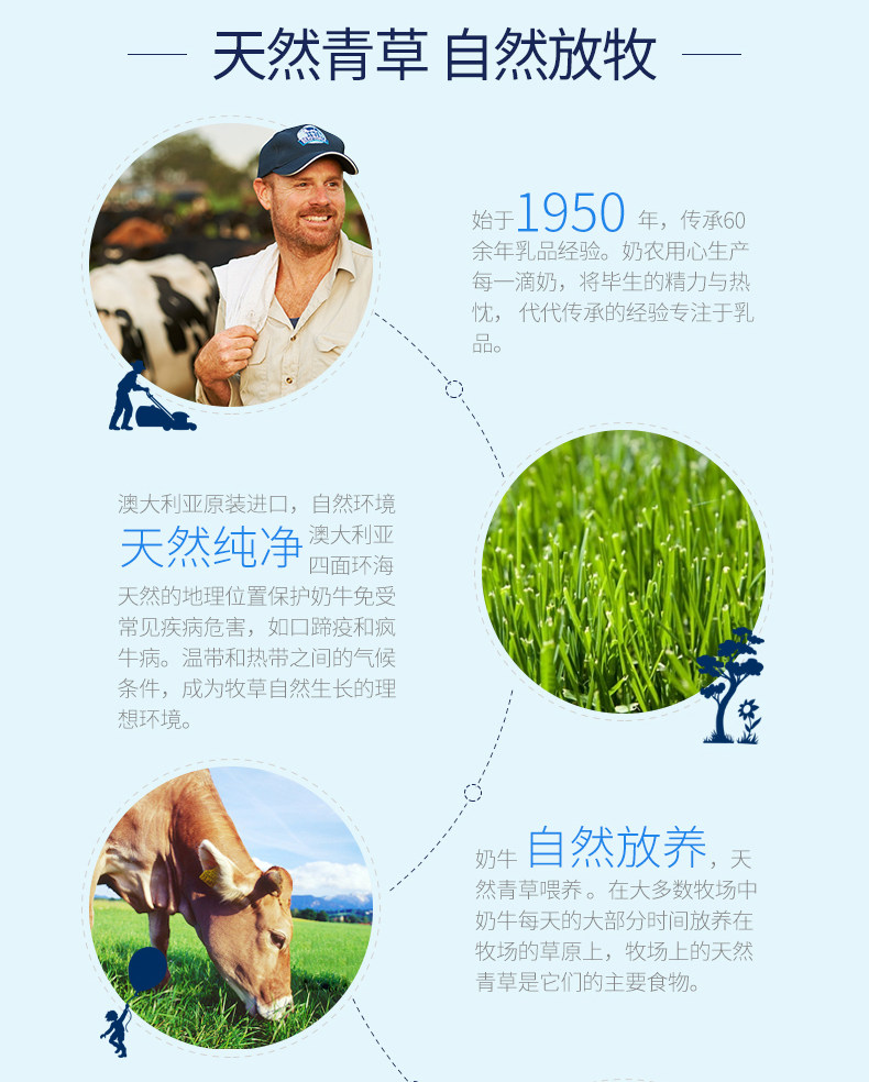 澳洲进口 Devondale德运 全脂高钙纯牛奶 1L*10盒 图6