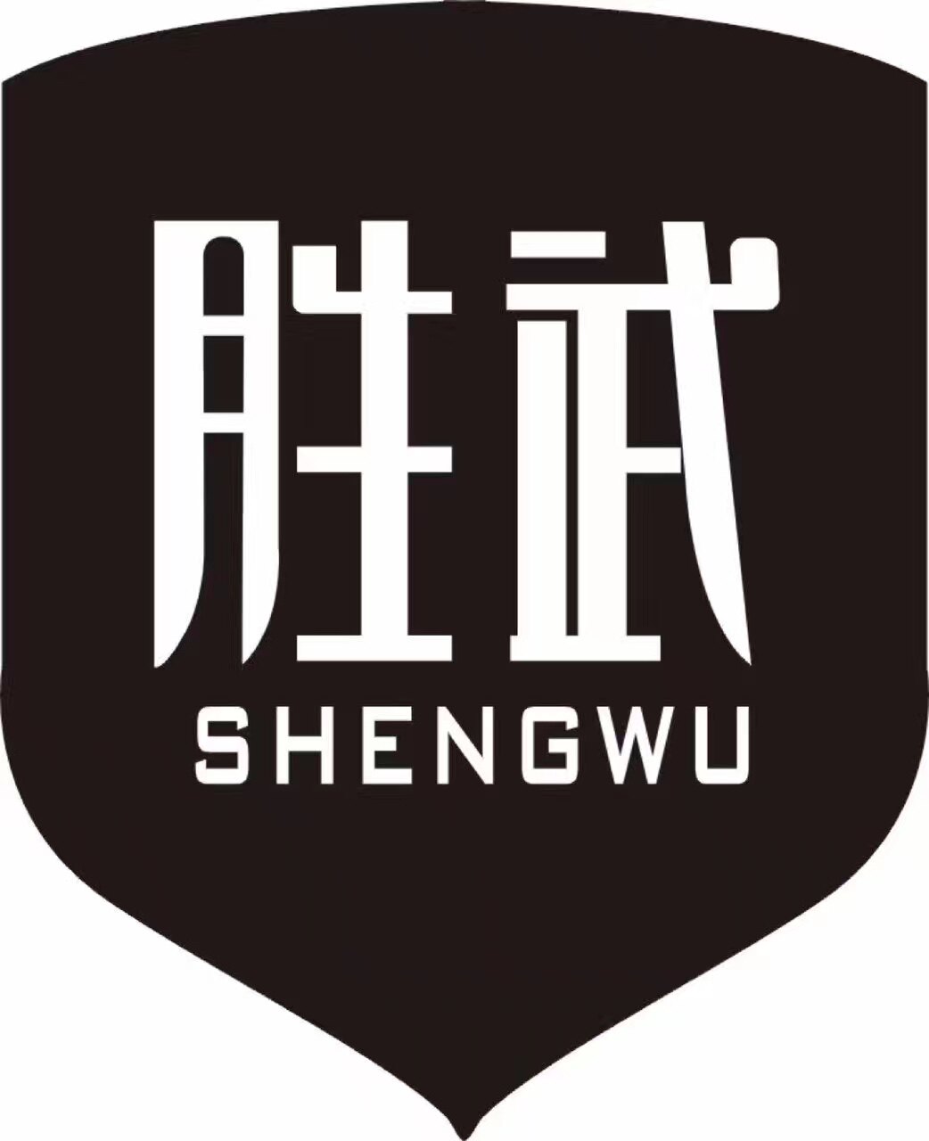 胜武食品官方店的LOGO
