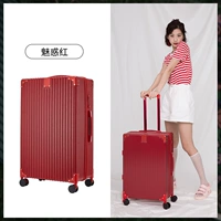 Очарование модели Red-Zipper