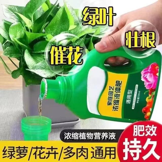 ການແກ້ໄຂສານອາຫານໄມ້ Brazilian watering family flower gardening special green plant indoor potted flower gardening fertilizer universal