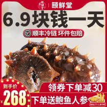 Ready-to-eat sea cucumber dry goods Heisei fresh Dalian light dry sea cucumbers sea leachate 500g gift boxes single loaded stilter