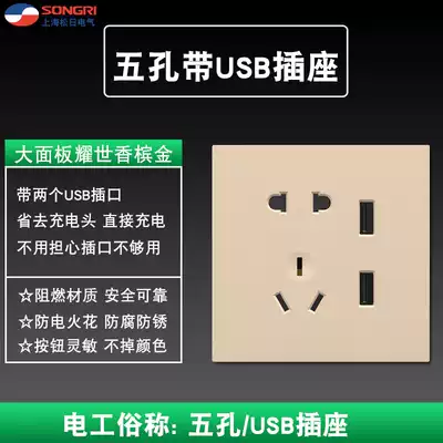 Shanghai Songri Electric 86 type concealed A2 five-hole USB air conditioning socket Household power supply wall-mounted large board panel