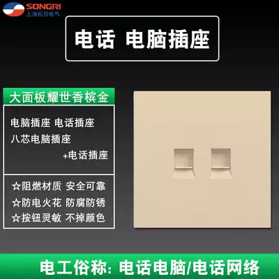 Songday 86 concealed A2 computer telephone socket household power wall type large board switch panel