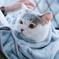 Cat-theater clothes Cat No Stick Fur Clothes Hold Cat Apron With Cat Apron Not Stained With Fur Hood Clog Cat Apron