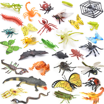 Simulation solid animal toy large insect toy model large simulation soft rubber set for boys and girls toys