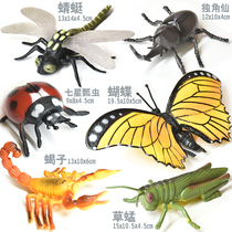 Simulation solid butterfly Dragonfly scorpion grasshopper seven star ladybug insect animal model set children toy boy