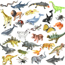 Export solid dinosaur toy set simulation plastic large marine animal insect model children toy boy