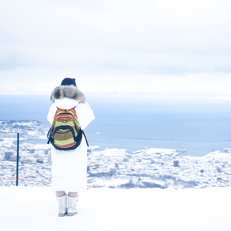 北海道当地跟团游值得参加吗？2025最新攻略全解析