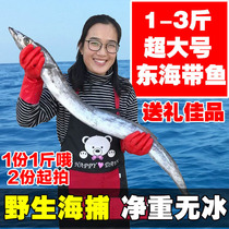 East China Sea big octopus fresh 1-3 catty 3 catty SF wild knife fish Deep sea fish seafood aquatic products