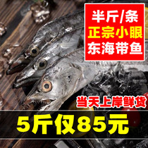 85 yuan 5 pounds of East China Sea small-eyed octopus Half a pound of knifefish octopus fresh aquatic octopus fresh frozen