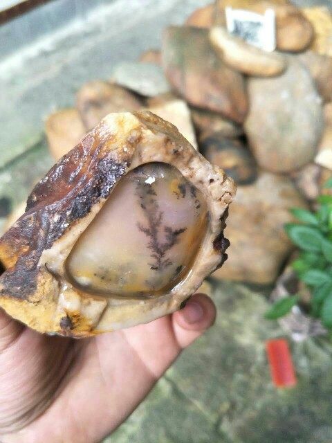 Natural Yellow Dragon jade stone stone stone group slope grass flower raw stone wool weight 280 grams