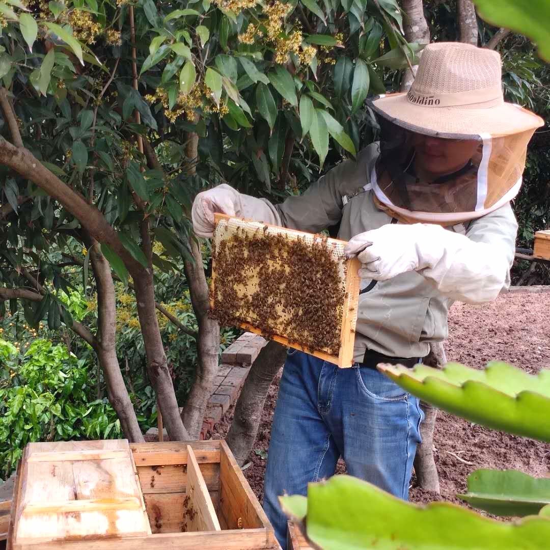 (Village palm fresh) natural soil honey farms produce pure hundred flower honey lychee honey non-honeycomb honey 1000g