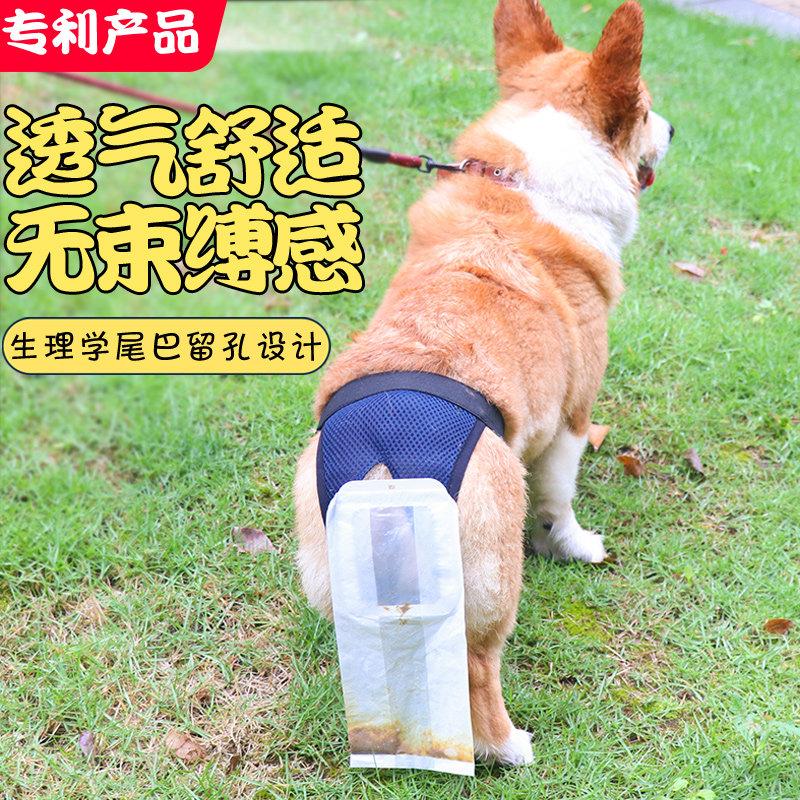 Dog ten TOILET DOG ten POOP BAG FOR WALKING DOG SHOVELING AUTOMATIC COLLECTION OF POOP BAG FAECAL BAG PET DISPOSABLE PANT BAG