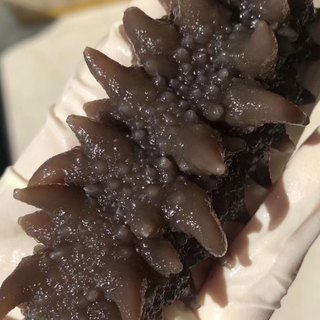 Russia imported ready-to-eat sea cucumbers in independent packaging