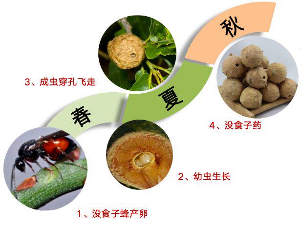 反复长溃疡的打工人都懂！含漱液 成膜凝胶搭配实测，吃饭终于不疼了
